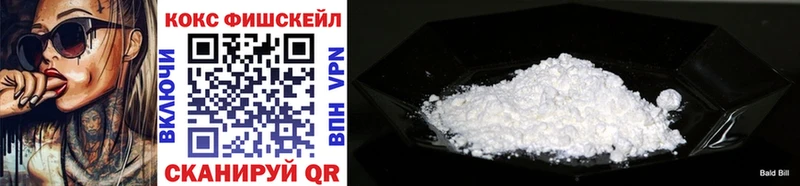 наркотики  Райчихинск  COCAIN Fish Scale 