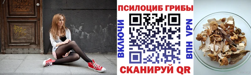 Псилоцибиновые грибы Magic Shrooms  Райчихинск 